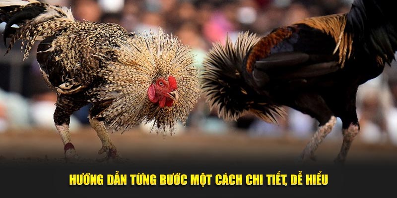 Hướng dẫn từng bước một cách chi tiết, dễ hiểu dành cho hội viên