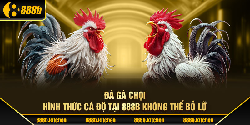 Đá Gà Chọi – Hình Thức Cá Độ Tại 888B Không Thể Bỏ Lỡ