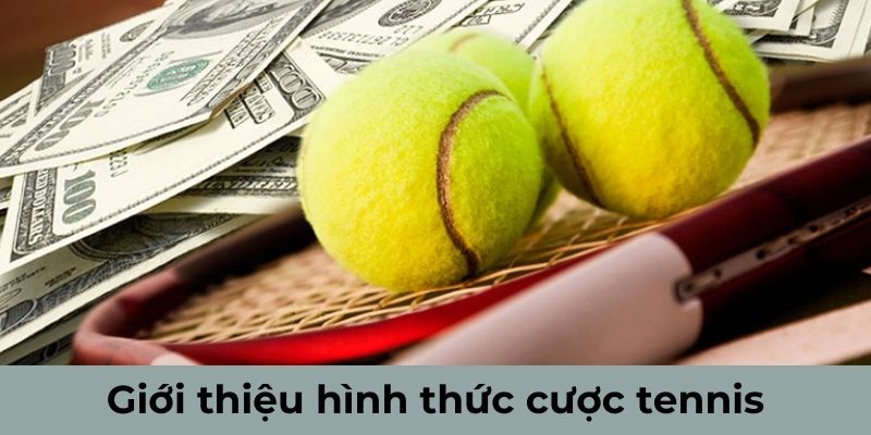 Giới thiệu hình thức cược Tennis